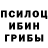 Псилоцибиновые грибы мицелий Xikmat Abayev