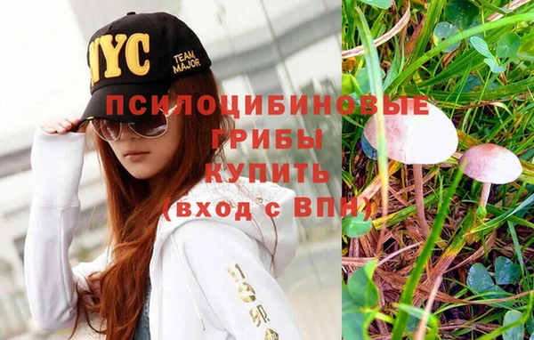 мяу мяу кристалл Новозыбков