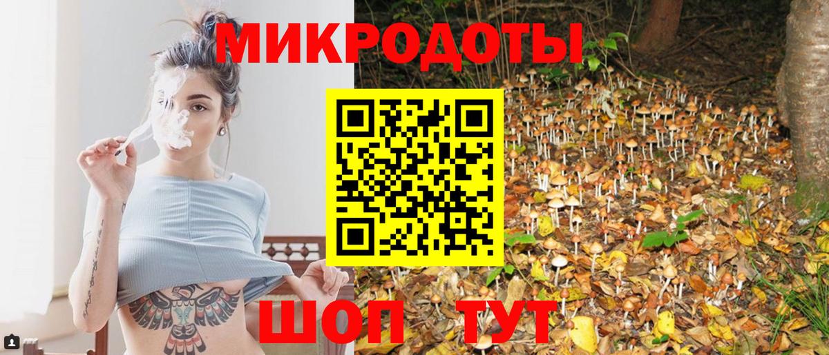 Галлюциногенные грибы ЛСД  Псилоцибиновые грибы ЛСД  Вход с VPN  наркотики  Нефтекумск 