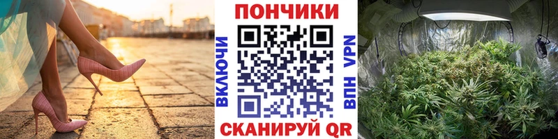 МАРИХУАНА ГИДРОПОН  наркошоп  Нефтекумск 