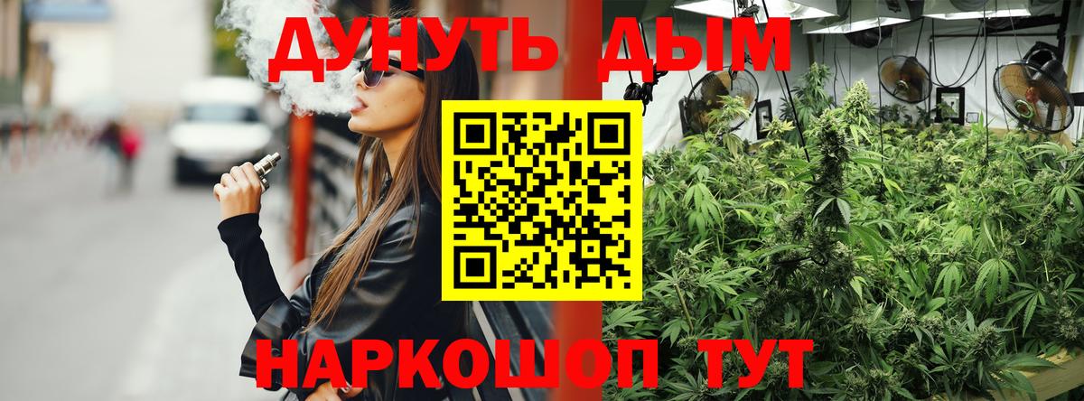 Бошки Шишки семена  Вход с VPN  Бошки Шишки семена  Нефтекумск 